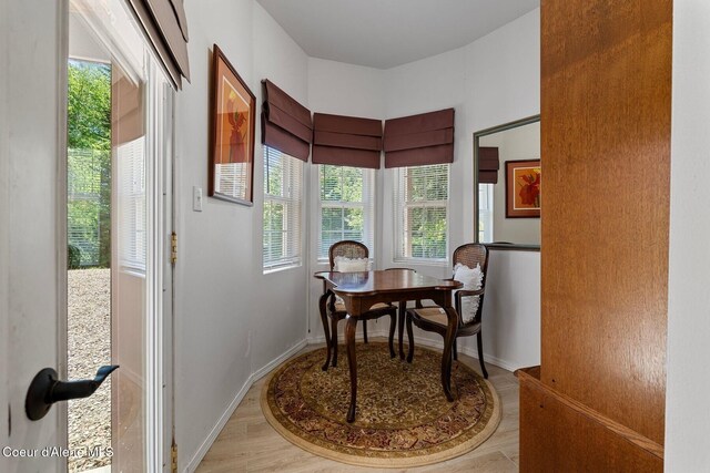 343 W Spring Creek Rd, Hope, ID 83836 - home office with light wood-style flooring and baseboards