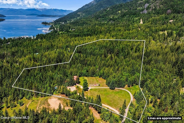 343 W Spring Creek Rd, Hope, ID 83836 - view of property location featuring a heavily wooded area, a water and mountain view, and property boundaries highlighted