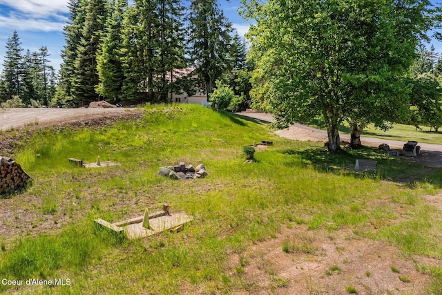 343 W Spring Creek Rd, Hope, ID 83836 - view of yard