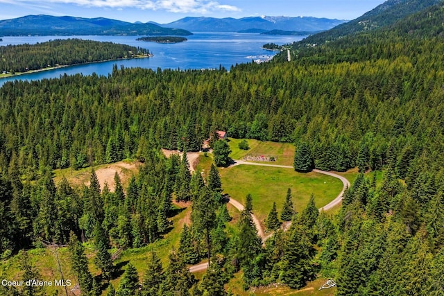 343 W Spring Creek Rd, Hope, ID 83836 - bird's eye view of a heavily wooded area and a water and mountain view