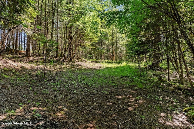 343 W Spring Creek Rd, Hope, ID 83836 - view of woods
