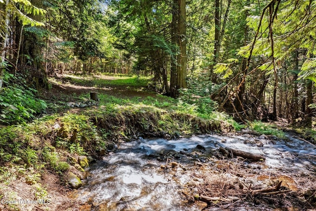 343 W Spring Creek Rd, Hope, ID 83836 - view of tree filled area