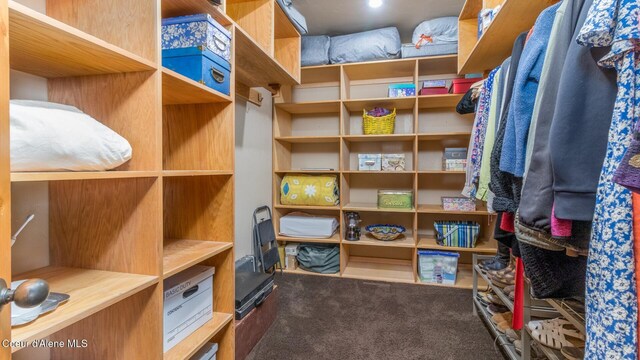 75 Windy Ln, Moyie Springs, ID 83845 - walk in closet featuring carpet