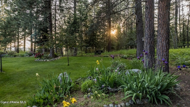 75 Windy Ln, Moyie Springs, ID 83845 - view of green lawn