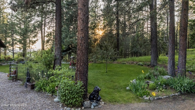 75 Windy Ln, Moyie Springs, ID 83845 - view of grassy yard