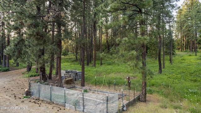 75 Windy Ln, Moyie Springs, ID 83845 - view of yard featuring a view of trees