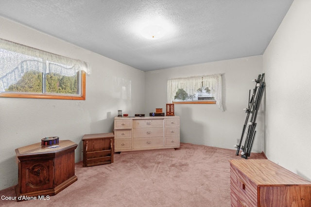26277 N Chevrolane Way, Rathdrum, ID 83858 - bedroom with light colored carpet and a textured ceiling