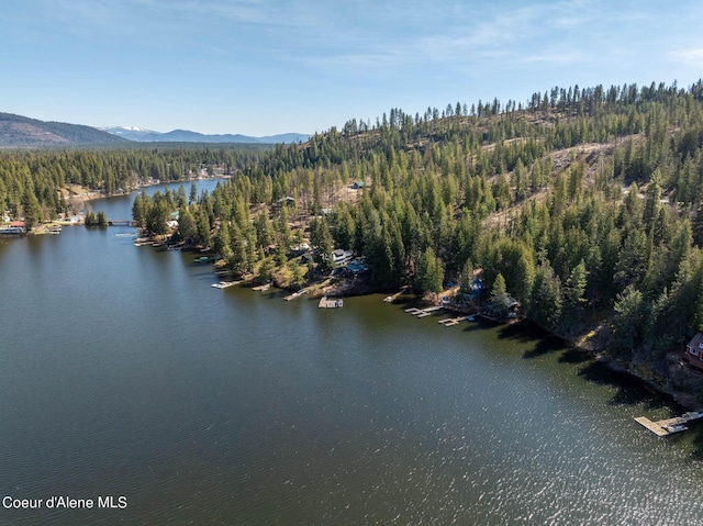 7771 W Channel Ln, Rathdrum, ID 83858 - drone / aerial view of a water and mountain view and a heavily wooded area