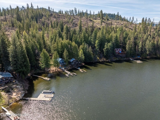 7771 W Channel Ln, Rathdrum, ID 83858 - aerial view of property and surrounding area with a large body of water and a heavily wooded area