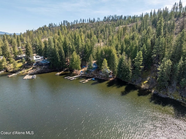 7771 W Channel Ln, Rathdrum, ID 83858 - aerial overview of property's location with a large body of water and a forest