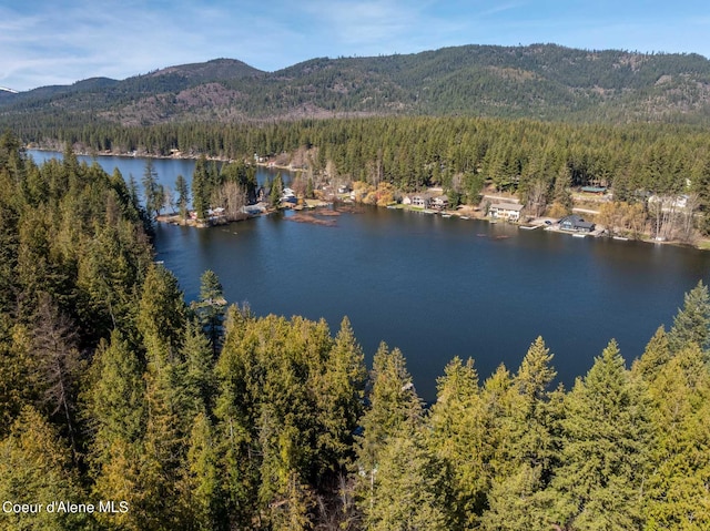 7771 W Channel Ln, Rathdrum, ID 83858 - water view with a forest and a mountain backdrop