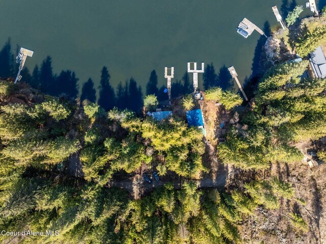 7771 W Channel Ln, Rathdrum, ID 83858 - bird's eye view
