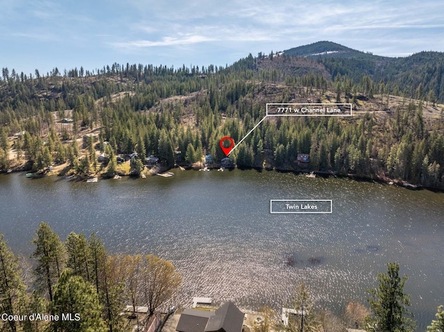 7771 W Channel Ln, Rathdrum, ID 83858 - water view featuring a forest and mountains
