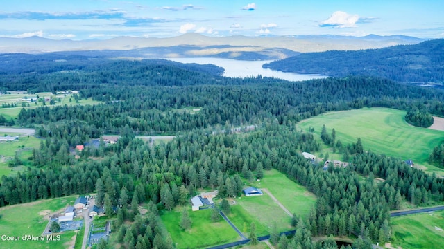7672 W Carnie Rd, Coeur Dalene, ID 83814 - aerial view of property's location featuring a forest and a water and mountain view