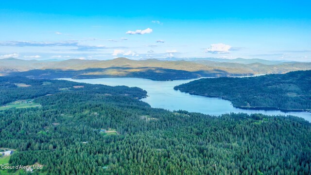 7672 W Carnie Rd, Coeur Dalene, ID 83814 - view of mountain background featuring a forest and a nearby body of water