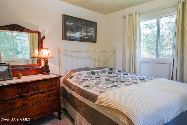 7672 W Carnie Rd, Coeur Dalene, ID 83814 - carpeted bedroom featuring multiple windows and a textured ceiling