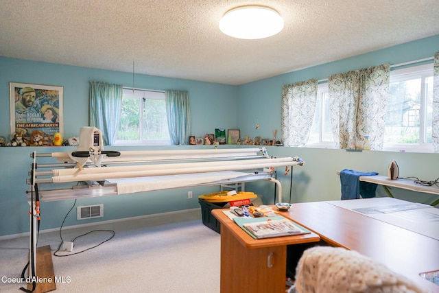 7672 W Carnie Rd, Coeur Dalene, ID 83814 - carpeted bedroom with a textured ceiling and baseboards