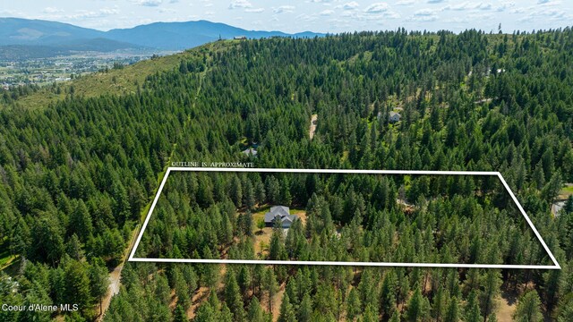 23216 E Morris Rd, Newman Lake, WA 99025 - view of property location featuring a forest, mountains, and property parcel outlined