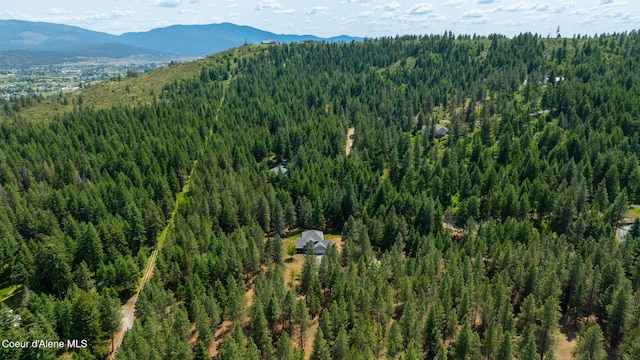 23216 E Morris Rd, Newman Lake, WA 99025 - drone / aerial view of a forest and a mountainous background