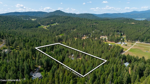 23216 E Morris Rd, Newman Lake, WA 99025 - aerial view of property's location with a forest, a mountain backdrop, and property parcel outlined