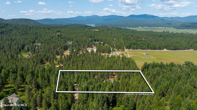 23216 E Morris Rd, Newman Lake, WA 99025 - aerial view of property and surrounding area with a forest, a mountain backdrop, and property boundaries highlighted