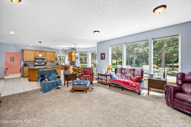 23216 E Morris Rd, Newman Lake, WA 99025 - living room with a textured ceiling, light carpet, and recessed lighting