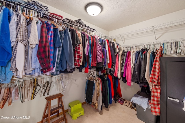 23216 E Morris Rd, Newman Lake, WA 99025 - spacious closet featuring carpet