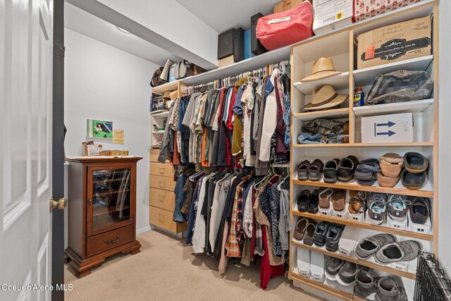 67 Spur Dr, Sandpoint, ID 83864 - spacious closet with carpet