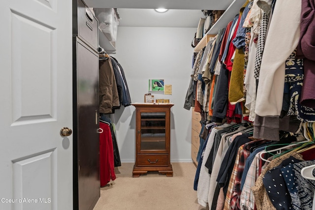 67 Spur Dr, Sandpoint, ID 83864 - spacious closet featuring light carpet