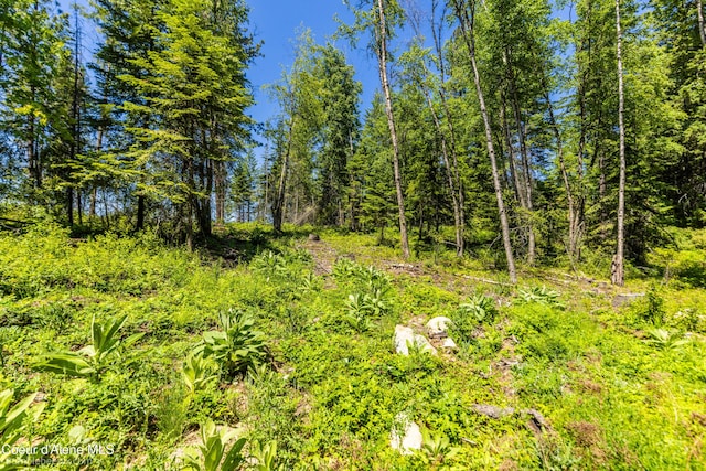 1140 Salee Creek Rd, Bayview, ID 83803