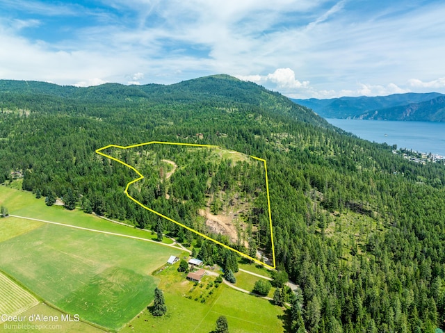 1140 Salee Creek Rd, Bayview, ID 83803