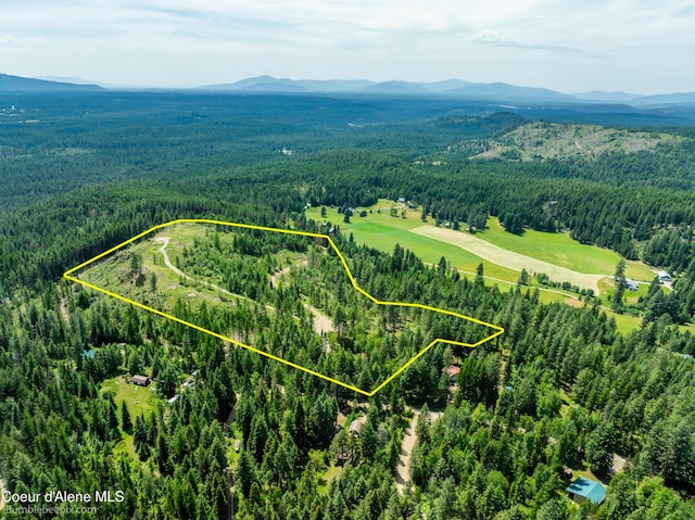 1140 Salee Creek Rd, Bayview, ID 83803
