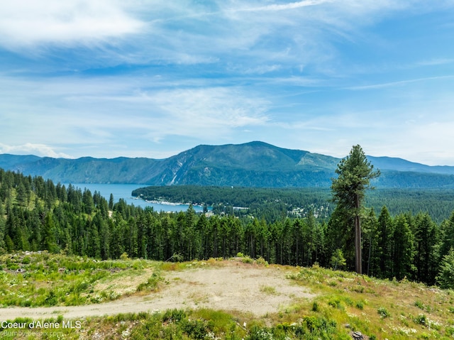1140 Salee Creek Rd, Bayview, ID 83803