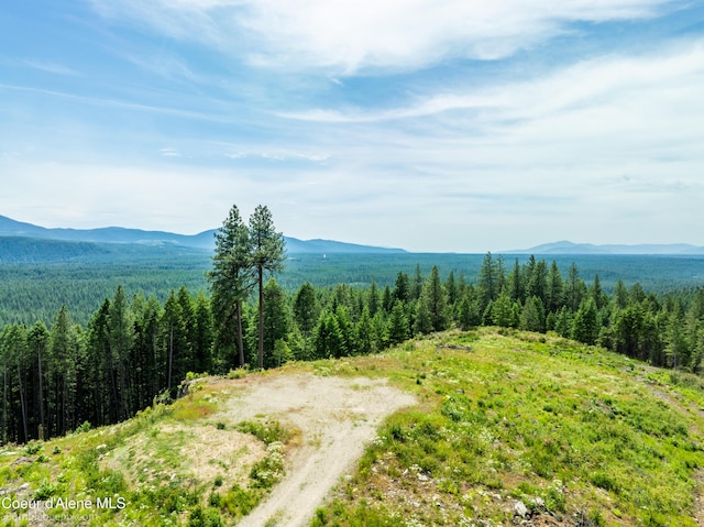 1140 Salee Creek Rd, Bayview, ID 83803