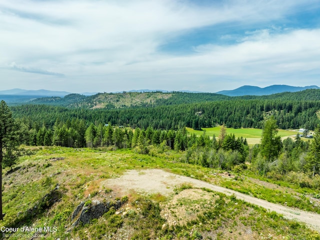 1140 Salee Creek Rd, Bayview, ID 83803