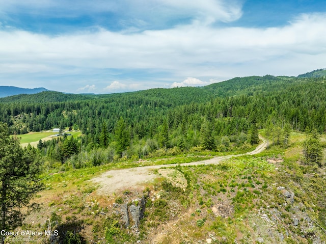 1140 Salee Creek Rd, Bayview, ID 83803