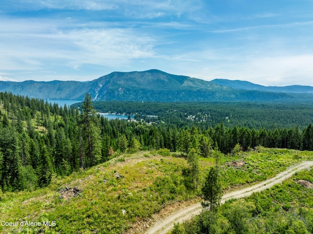 1140 Salee Creek Rd, Bayview, ID 83803