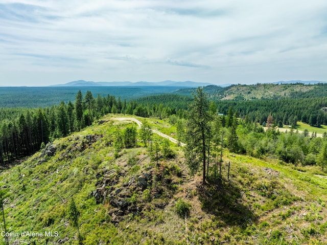 1140 Salee Creek Rd, Bayview, ID 83803