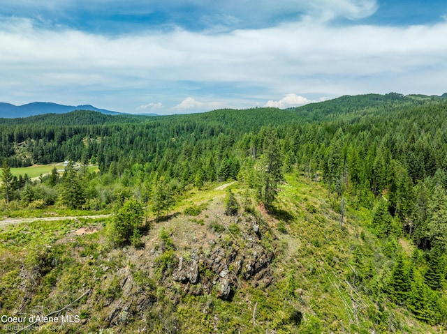 1140 Salee Creek Rd, Bayview, ID 83803
