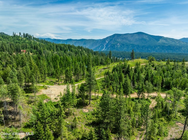 1140 Salee Creek Rd, Bayview, ID 83803