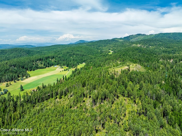 1140 Salee Creek Rd, Bayview, ID 83803