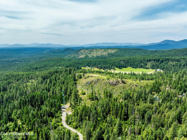 1140 Salee Creek Rd, Bayview, ID 83803