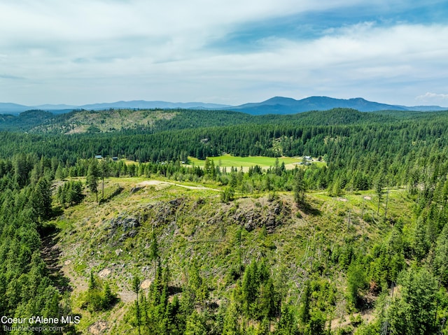 1140 Salee Creek Rd, Bayview, ID 83803