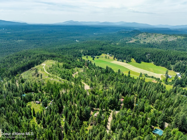 1140 Salee Creek Rd, Bayview, ID 83803