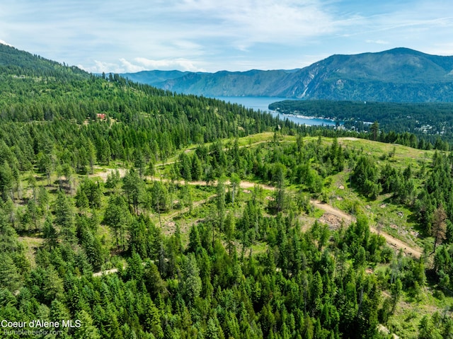 1140 Salee Creek Rd, Bayview, ID 83803