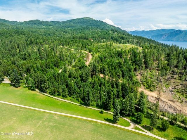1140 Salee Creek Rd, Bayview, ID 83803