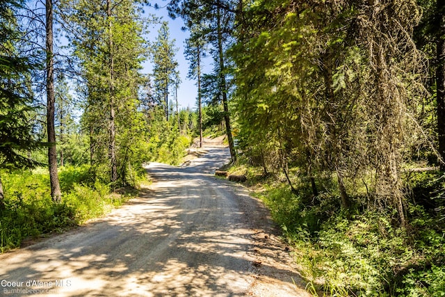 1140 Salee Creek Rd, Bayview, ID 83803