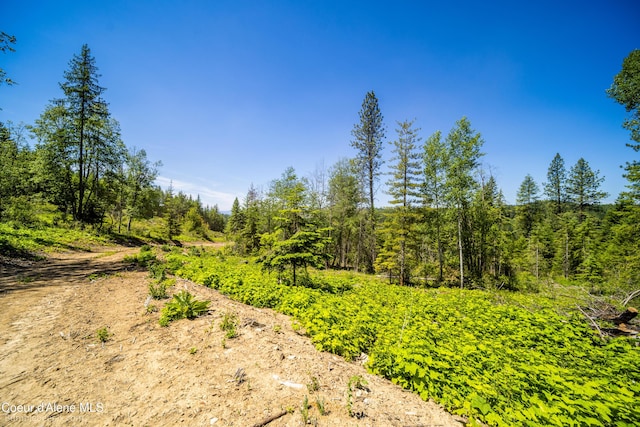 1140 Salee Creek Rd, Bayview, ID 83803