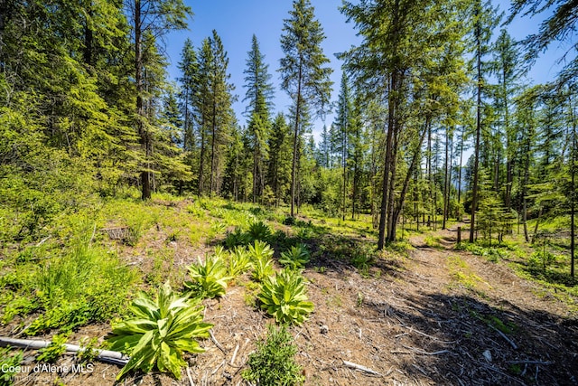 1140 Salee Creek Rd, Bayview, ID 83803