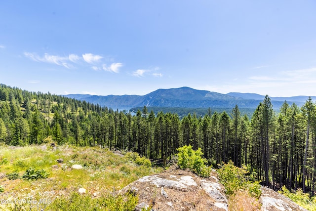 1140 Salee Creek Rd, Bayview, ID 83803